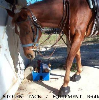STOLEN TACK / EQUIPMENT Bridle, Halter/bridle, Horse Blanket, Near Baltimore, MD, 21220